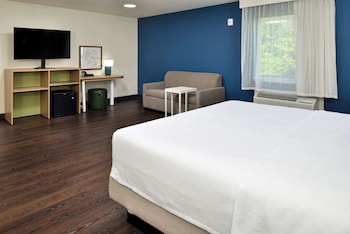 Room, 1 King Bed with Sofa bed