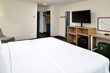 Room, 1 King Bed