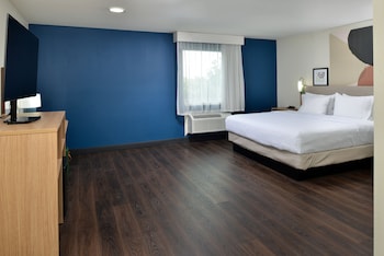 Room, 1 King Bed