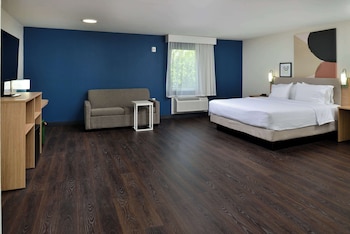 Room, 1 King Bed with Sofa bed