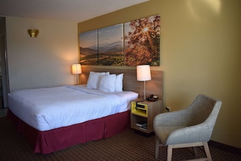 Standard Room, 1 King Bed, Smoking
