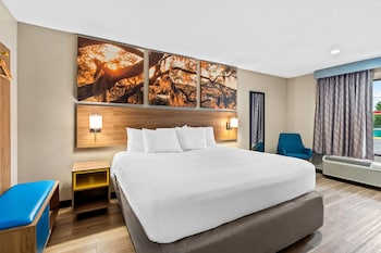 Studio Suite, 1 King Bed, Smoking