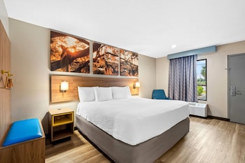Room, 1 King Bed, Accessible