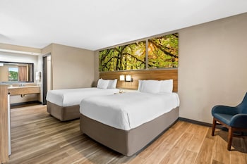 Basic Double Room, 2 Double Beds