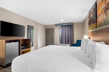 Standard Room, 1 King Bed