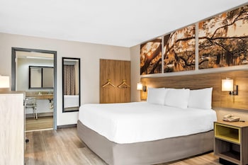 Room, 1 King Bed, Accessible