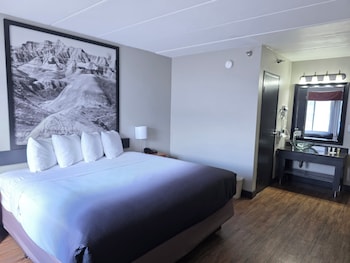 Room, 1 King Bed, Non Smoking