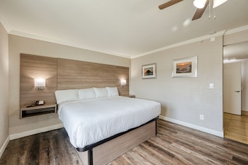Room, 1 King Bed, Accessible