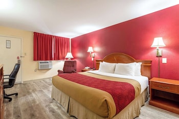 Standard Room, 1 King Bed, Non Smoking