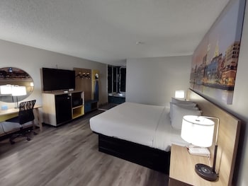 Room, 1 King Bed, Accessible, Non Smoking