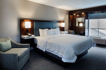 Studio, 1 King Bed