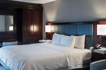 Room, 1 King Bed with Sofa bed