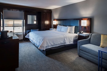 Room, 1 King Bed with Sofa bed