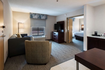 Suite, 1 King Bed
