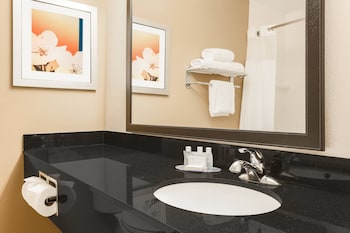 Room, 1 King Bed, Roll-in Shower