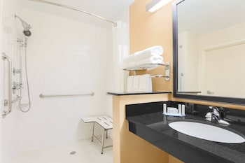Room, 1 King Bed, Roll-in Shower