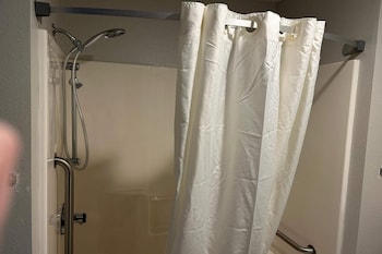 Room, 1 King Bed, Accessible, Lake View (Bathtub w/ Grab Bars)