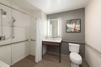 Room, 1 King Bed, Accessible, Roll In Shower