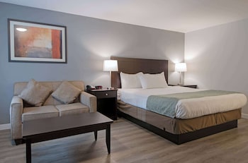 Room, 1 King Bed, Non Smoking (Efficiency)