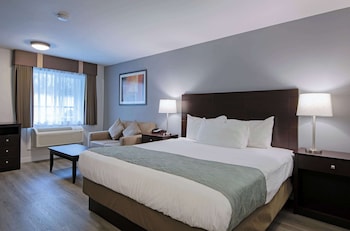 Room, 1 King Bed, Non Smoking (Efficiency)