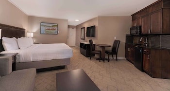 Standard Studio, 1 King Bed, Kitchenette, Lake View (with Sofabed)