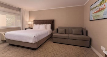 Standard Studio, 1 King Bed, Non Smoking, Kitchenette (with Sofabed)