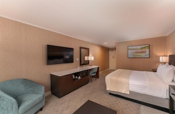Standard Room, 1 King Bed, Non Smoking (with Sofabed)