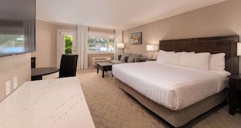 Standard Studio, 1 King Bed, Kitchenette, Lake View (with Sofabed)