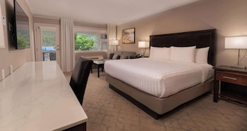 Standard Room, 1 King Bed, Accessible, Patio (with Sofabed)