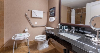 Standard Room, 1 King Bed, Accessible, Non Smoking
