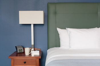 Standard Room, 1 King Bed (Non View)