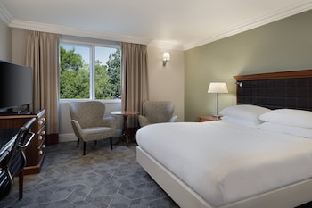 Deluxe Room, 1 Queen Bed