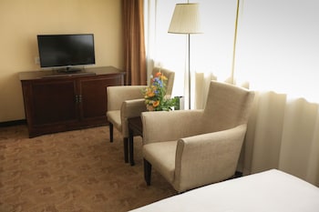 Standard Room, City View