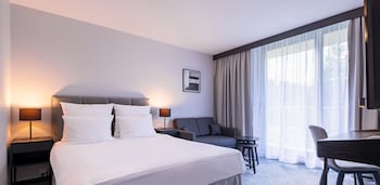 Standard Room, 1 Queen Bed with Sofa bed