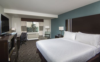 Suite, 1 King Bed