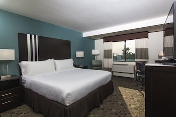 Suite, 1 King Bed