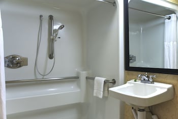 Studio Suite, Accessible (Roll-In Shower)