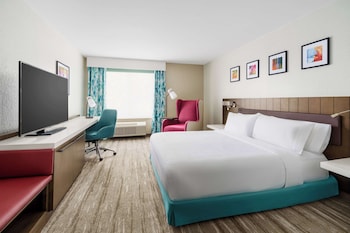 Deluxe, One King Bed, Accessible