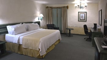 Suite, 1 King Bed
