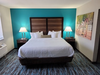 Suite, 1 King Bed with Sofa bed, Non Smoking