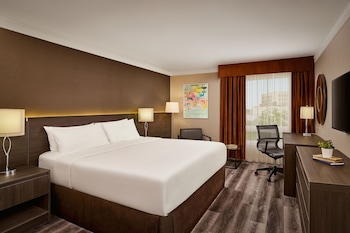 Deluxe Room, 1 Queen Bed