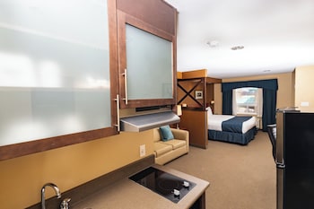 Studio Suite, 1 King Bed, Non Smoking, Kitchenette
