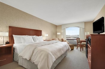 Room, 1 King Bed, Non Smoking