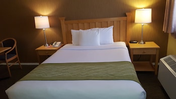 Room, 1 Queen Bed, Non Smoking (Efficiency)