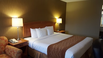Room, 1 King Bed