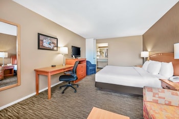 Room, 1 King Bed, Non Smoking (Efficiency)