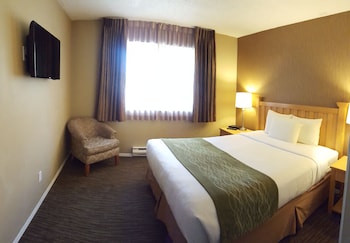 Suite, 1 Queen Bed and 2 Single Beds, Plus Sofabed, Non Smoking