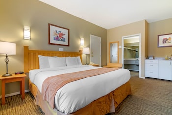 Room, 1 King Bed, Non Smoking (Efficiency)
