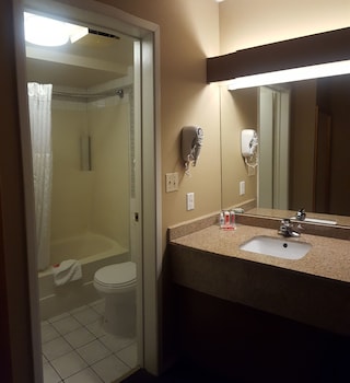 Room, 1 King Bed
