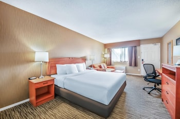 Suite, 1 King Bed with Sofa bed, Non Smoking (Efficiency)
